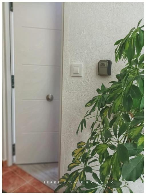 Apartamento Atico En Pleno Centro De Jerez Sin Ascensor Jerez de la Frontera Exterior foto